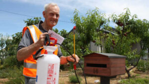 Weed warriors take the fight to the streets