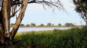 Authorities hope for ‘peaceful resolution’ to Nimmie Caira saga