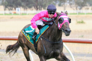 Swan Hill trainer pins hopes on Testa Life