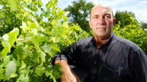 ‘Think again’ on China wine help