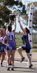 Mallee Eagles fly into finals