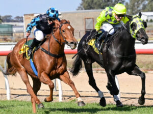 Big weekend for Swan Hill trainer, jockey