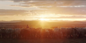 Film puts focus on farm mental health