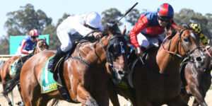 Lloyd lets horse fly