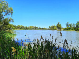 No change to risk of spill in Murray system