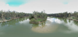 Tackling Murray sand slug