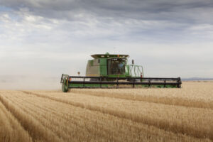 Rural Bank offers positive forecast