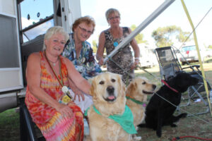 Travelling over the countryside