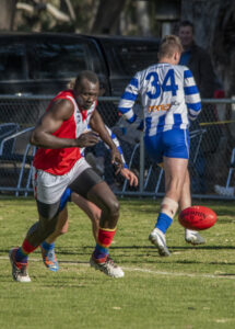 Roos keep top billing