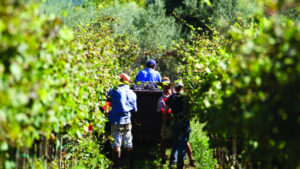 Can’t afford to wait, says Walsh