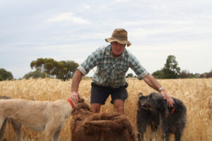 Locals fluent in fair dinkum lingo