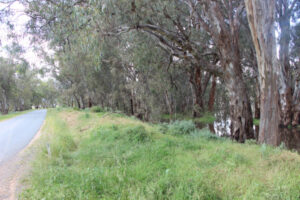 VCAT backs council on refusal to grant planning permission for flood-prone land