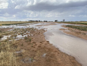 CFA backs airstrip push