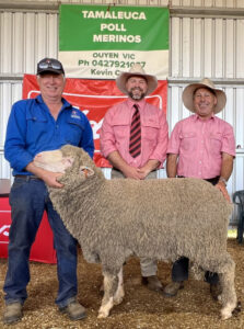 Ouyen stud ram sale bucks trend