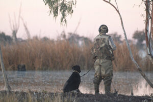 Ducks the question for inquiry