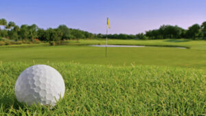 Good field despite footy