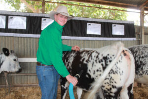 Cattle a pivotal role in event