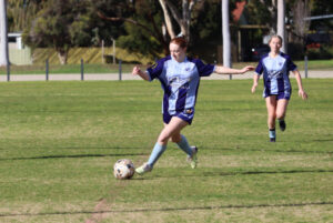 Swans set for rebuild, says Di Palma