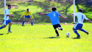 Swans win, but Strathdale protests result