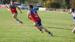 Nully too strong for Tigers