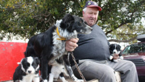 Back with a vengeance