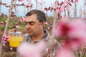 Everyone must trap flies