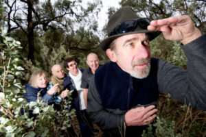 Big cat sighting in the Mallee