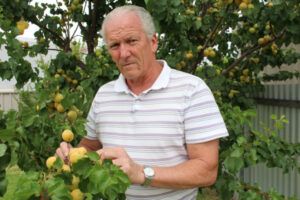 Efforts thwarted by fly