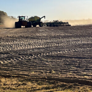 Grower optimism weathers dry weeks