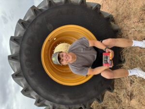 Harvesting travel memories