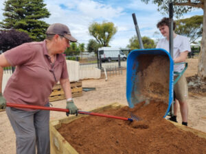 Garden blooming lovely
