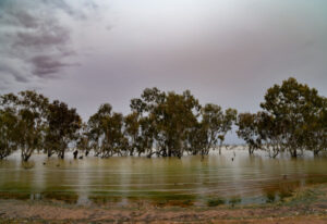 Floodplain harvesting ‘an election issue’