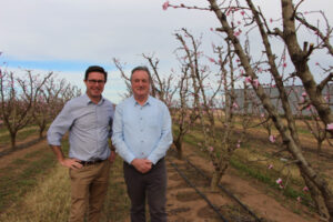 Basin integrity issues assessed by interim inspector-general