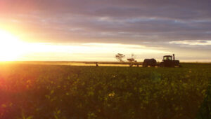 Increase in agriculture enrollments