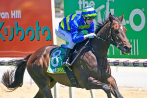 HOMEGROWN TALENT: Hobson, Coffeys clean up at the races