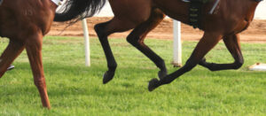 Lengthy ban for jockey