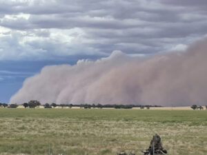 Moulamein Notes with China Gibson March 5