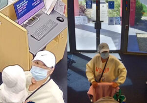 Police seek shopper over theft