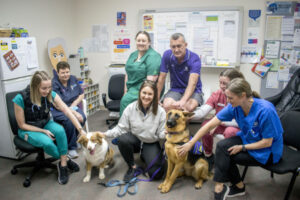 Canine carers bring weekend cheer