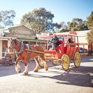 Council rejects Pioneer Settlement committee proposal