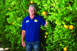 Orange producers under the squeeze