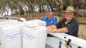 Calling time: first comp might wind-up