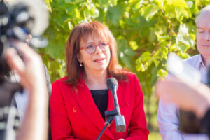 Mallee health workers going above and beyond, Anne Webster says