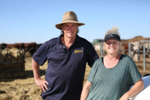 Delmenicos set benchmark for beef cattle