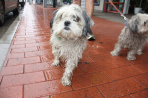 Wetter than average month