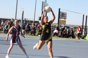 Tigers roar to victory