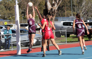 Swans return to the field and court