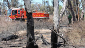 Lightning cause of Pental Island fire