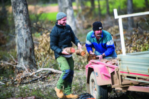 Calls for ‘respect’ towards forest