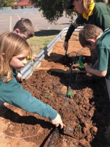 Ag in schools: Students to learn about our land